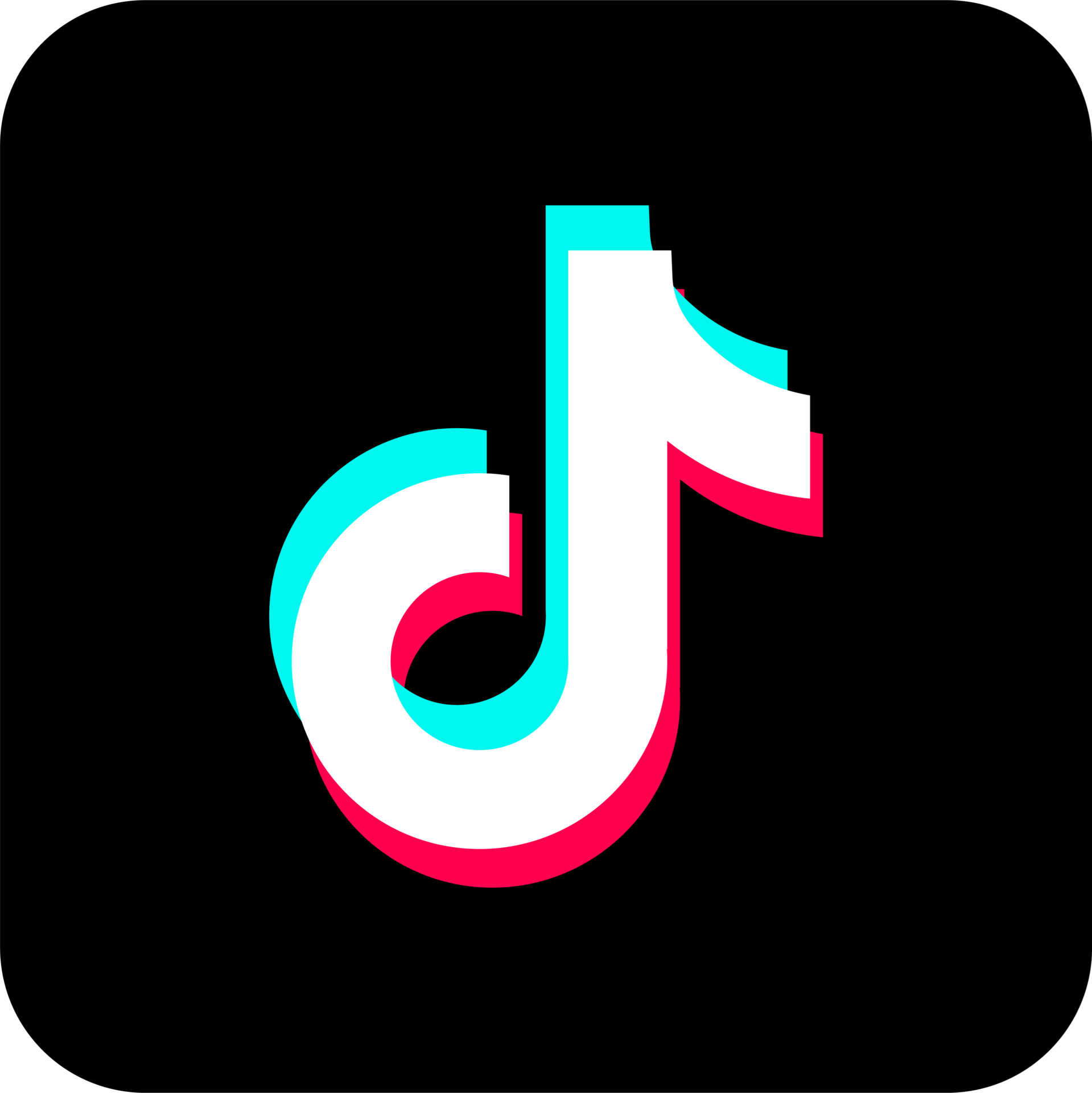 The Good Life TikTok Logo